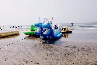 dragon-ride-on-beach